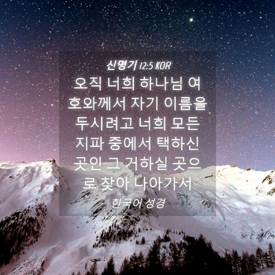 Picture 04 - 신명기 12:5 KOR - 오직 너희 하나님 여호와께서 자기 - Bible Verse Picture