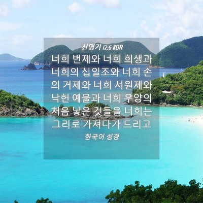 Picture 04 - 신명기 12:6 KOR - 너희 번제와 너희 희생과 너희의 - Bible Verse Picture
