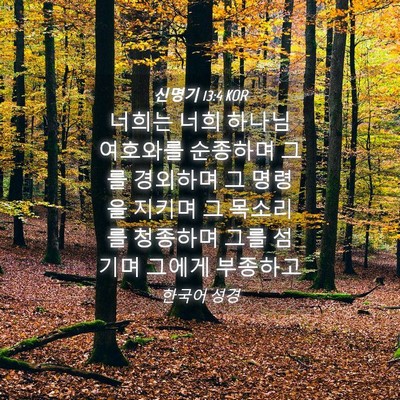 Picture 04 - 신명기 13:4 KOR - 너희는 너희 하나님 여호와를 - Bible Verse Picture