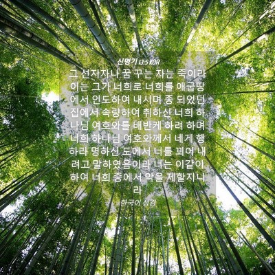 Picture 04 - 신명기 13:5 KOR - 그 선지자나 꿈 꾸는 자는 죽이라 - Bible Verse Picture