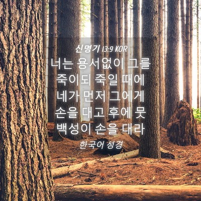 Picture 04 - 신명기 13:9 KOR - 너는 용서없이 그를 죽이되 죽일 - Bible Verse Picture