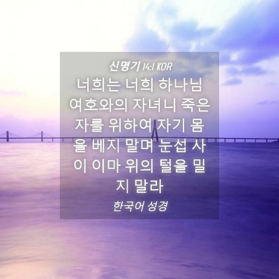 Picture 04 - 신명기 14:1 KOR - 너희는 너희 하나님 여호와의 자녀니 - Bible Verse Picture