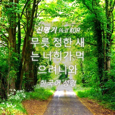 Picture 04 - 신명기 14:11 KOR - 무릇 정한 새는 너희가 - Bible Verse Picture