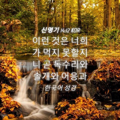 Picture 04 - 신명기 14:12 KOR - 이런 것은 너희가 먹지 못할지니 곧 - Bible Verse Picture