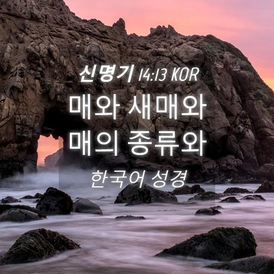Picture 04 - 신명기 14:13 KOR - 매와 새매와 매의 - Bible Verse Picture