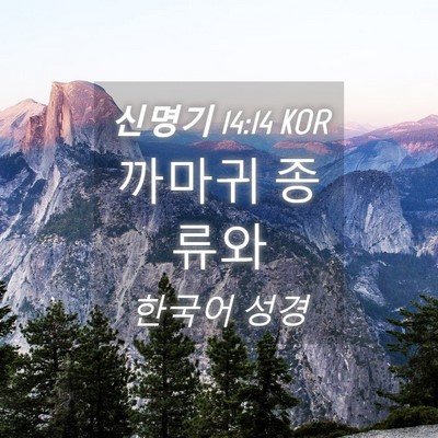 Picture 04 - 신명기 14:14 KOR - 까마귀 - Bible Verse Picture