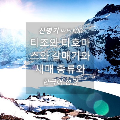 Picture 04 - 신명기 14:15 KOR - 타조와 다호마스와 갈매기와 새매 - Bible Verse Picture