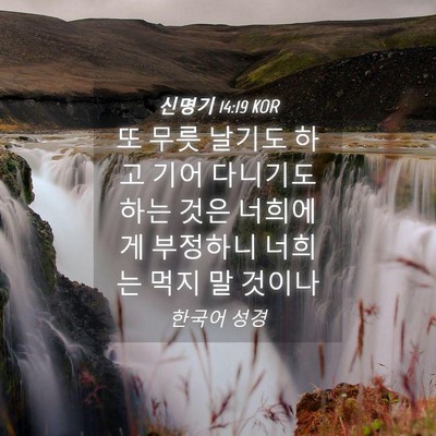 Picture 04 - 신명기 14:19 KOR - 또 무릇 날기도 하고 기어 다니기도 - Bible Verse Picture
