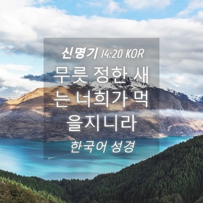 Picture 04 - 신명기 14:20 KOR - 무릇 정한 새는 너희가 - Bible Verse Picture