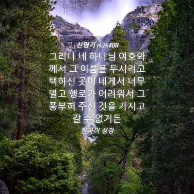 Picture 04 - 신명기 14:24 KOR - 그러나 네 하나님 여호와께서 그 - Bible Verse Picture