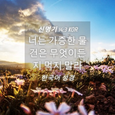 Picture 04 - 신명기 14:3 KOR - 너는 가증한 물건은 무엇이든지 먹지 - Bible Verse Picture