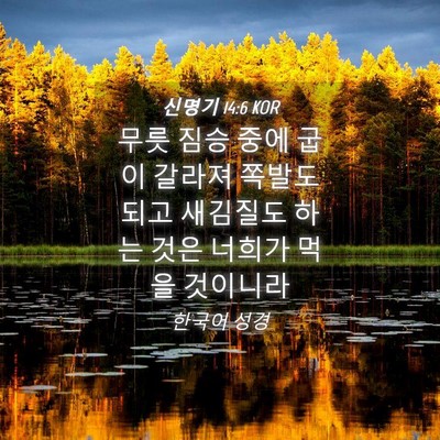 Picture 04 - 신명기 14:6 KOR - 무릇 짐승 중에 굽이 갈라져 쪽발도 - Bible Verse Picture