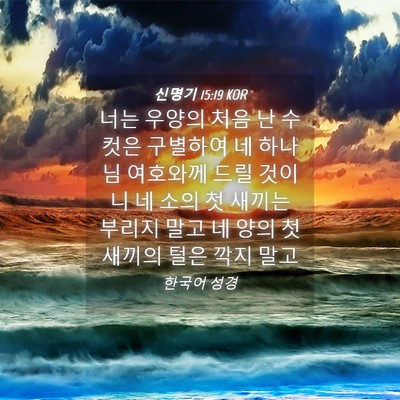 Picture 04 - 신명기 15:19 KOR - 너는 우양의 처음 난 수컷은 - Bible Verse Picture
