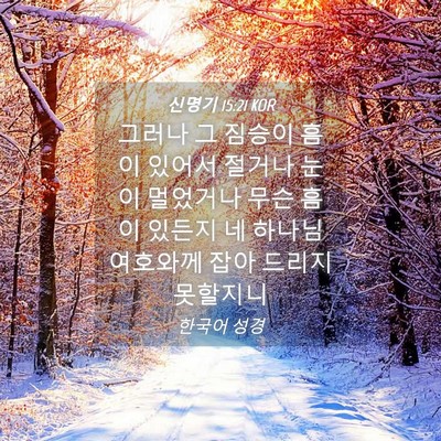 Picture 04 - 신명기 15:21 KOR - 그러나 그 짐승이 흠이 있어서 - Bible Verse Picture