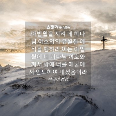 Picture 04 - 신명기 16:1 KOR - 아빕월을 지켜 네 하나님 여호와의 - Bible Verse Picture