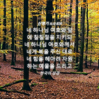 Picture 04 - 신명기 16:10 KOR - 네 하나님 여호와 앞에 칠칠절을 - Bible Verse Picture