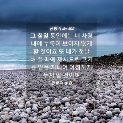 Picture 04 - 신명기 16:4 KOR - 그 칠일 동안에는 네 사경 내에 - Bible Verse Picture