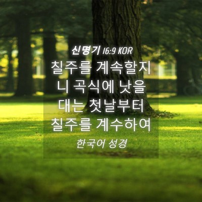 Picture 04 - 신명기 16:9 KOR - 칠주를 계속할지니 곡식에 낫을 대는 - Bible Verse Picture