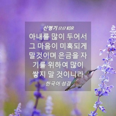 Picture 04 - 신명기 17:17 KOR - 아내를 많이 두어서 그 마음이 - Bible Verse Picture