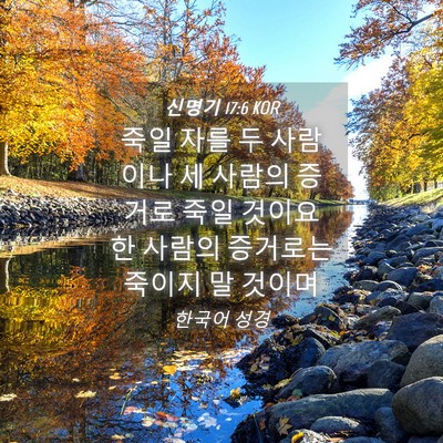 Picture 04 - 신명기 17:6 KOR - 죽일 자를 두 사람이나 세 사람의 - Bible Verse Picture
