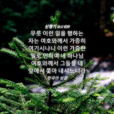 Picture 04 - 신명기 18:12 KOR - 무릇 이런 일을 행하는 자는 - Bible Verse Picture
