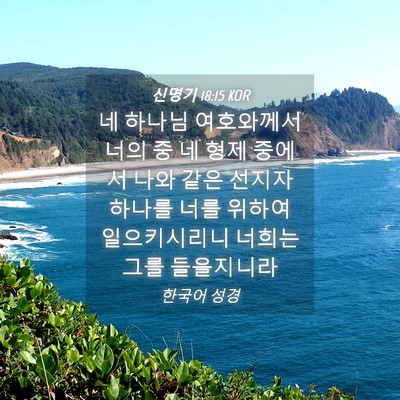 Picture 04 - 신명기 18:15 KOR - 네 하나님 여호와께서 너의 중 네 - Bible Verse Picture