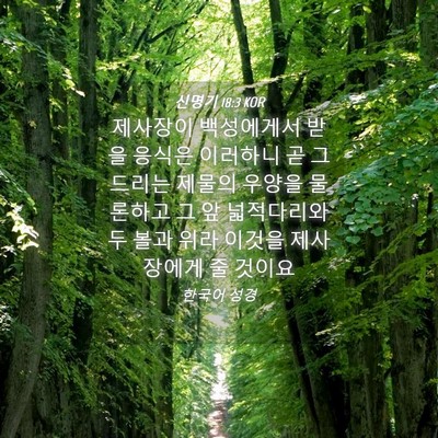 Picture 04 - 신명기 18:3 KOR - 제사장이 백성에게서 받을 응식은 - Bible Verse Picture