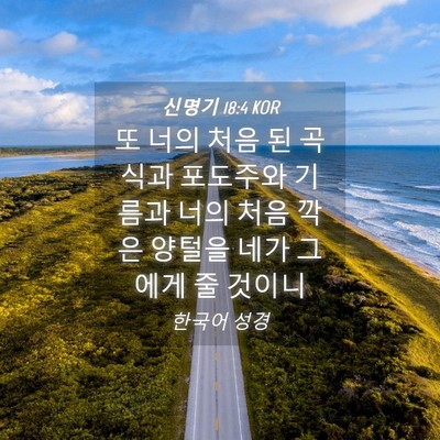 Picture 04 - 신명기 18:4 KOR - 또 너의 처음 된 곡식과 포도주와 - Bible Verse Picture