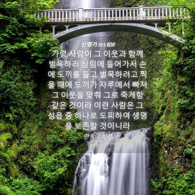 Picture 04 - 신명기 19:5 KOR - 가령 사람이 그 이웃과 함께 - Bible Verse Picture