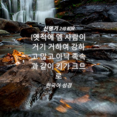 Picture 04 - 신명기 2:10 KOR - (옛적에 엠 사람이 거기 거하여 - Bible Verse Picture