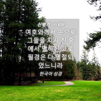Picture 04 - 신명기 2:15 KOR - 여호와께서 손으로 그들을 치사 진 - Bible Verse Picture