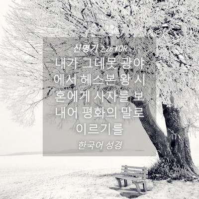Picture 04 - 신명기 2:26 KOR - 내가 그데못 광야에서 헤스본 왕 - Bible Verse Picture