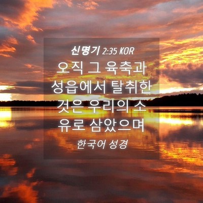 Picture 04 - 신명기 2:35 KOR - 오직 그 육축과 성읍에서 탈취한 - Bible Verse Picture