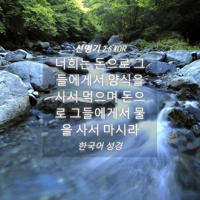 Picture 04 - 신명기 2:6 KOR - 너희는 돈으로 그들에게서 양식을 - Bible Verse Picture