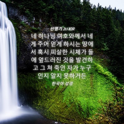 Picture 04 - 신명기 21:1 KOR - 네 하나님 여호와께서 네게 주어 - Bible Verse Picture