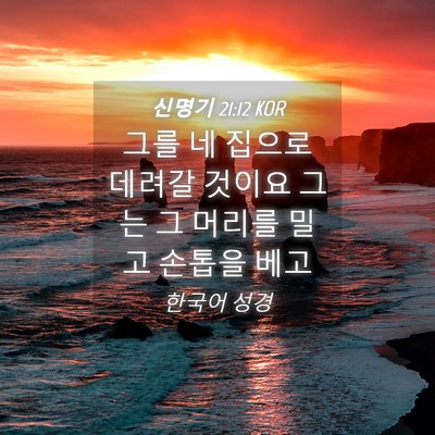 Picture 04 - 신명기 21:12 KOR - 그를 네 집으로 데려갈 것이요 그는 - Bible Verse Picture