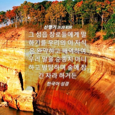Picture 04 - 신명기 21:20 KOR - 그 성읍 장로들에게 말하기를 우리의 - Bible Verse Picture