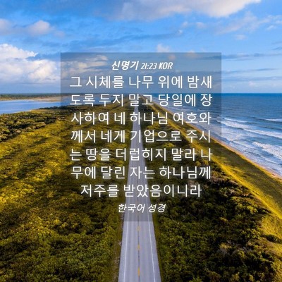 Picture 04 - 신명기 21:23 KOR - 그 시체를 나무 위에 밤새도록 두지 - Bible Verse Picture