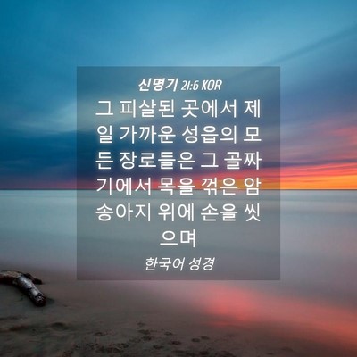 Picture 04 - 신명기 21:6 KOR - 그 피살된 곳에서 제일 가까운 - Bible Verse Picture