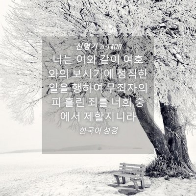 Picture 04 - 신명기 21:9 KOR - 너는 이와 같이 여호와의 보시기에 - Bible Verse Picture