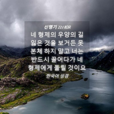 Picture 04 - 신명기 22:1 KOR - 네 형제의 우양의 길 잃은 것을 - Bible Verse Picture