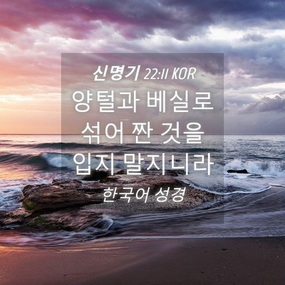 Picture 04 - 신명기 22:11 KOR - 양털과 베실로 섞어 짠 것을 입지 - Bible Verse Picture