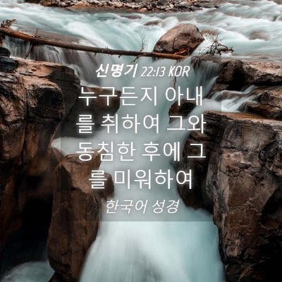Picture 04 - 신명기 22:13 KOR - 누구든지 아내를 취하여 그와 동침한 - Bible Verse Picture