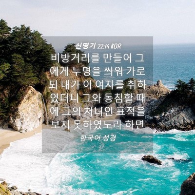 Picture 04 - 신명기 22:14 KOR - 비방거리를 만들어 그에게 누명을 - Bible Verse Picture