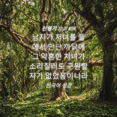Picture 04 - 신명기 22:27 KOR - 남자가 처녀를 들에서 만난 까닭에 - Bible Verse Picture
