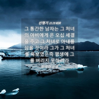 Picture 04 - 신명기 22:29 KOR - 그 통간한 남자는 그 처녀의 - Bible Verse Picture