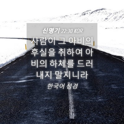 Picture 04 - 신명기 22:30 KOR - 사람이 그 아비의 후실을 취하여 - Bible Verse Picture