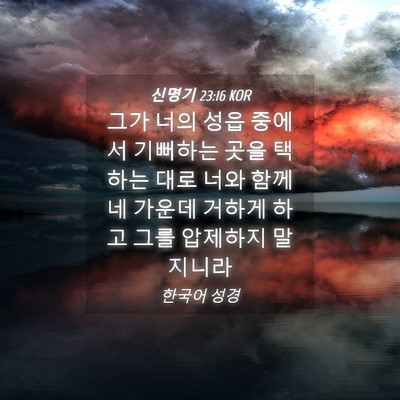 Picture 04 - 신명기 23:16 KOR - 그가 너의 성읍 중에서 기뻐하는 - Bible Verse Picture