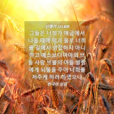 Picture 04 - 신명기 23:4 KOR - 그들은 너희가 애굽에서 나올 때에 - Bible Verse Picture