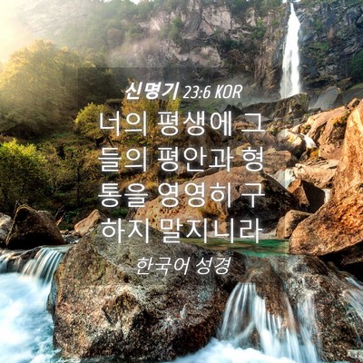 Picture 04 - 신명기 23:6 KOR - 너의 평생에 그들의 평안과 형통을 - Bible Verse Picture